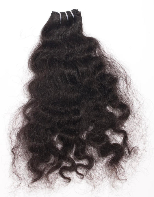 Raw Burmese Curly